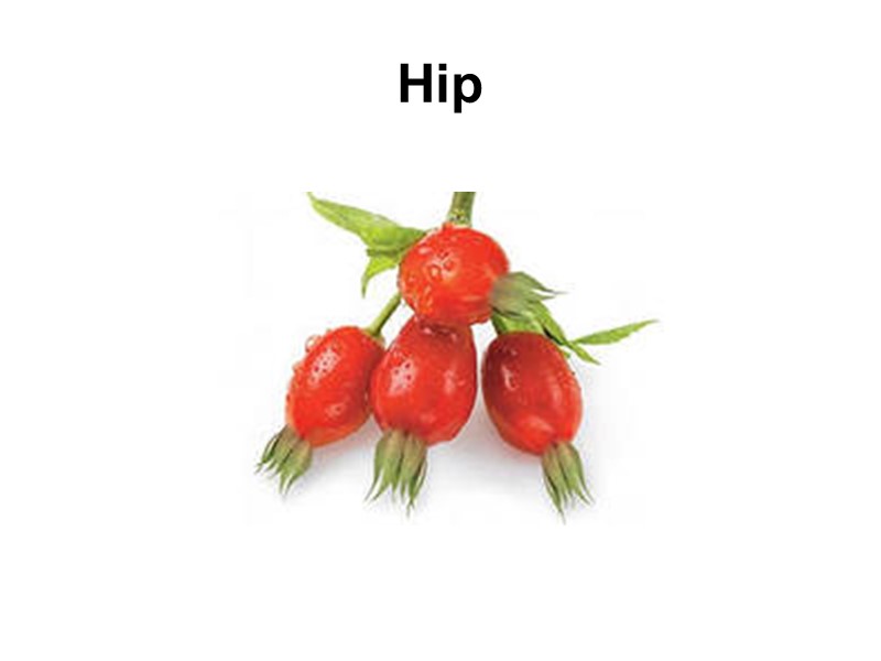 Hip